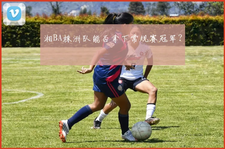 湘BA株洲队能否拿下常规赛冠军？